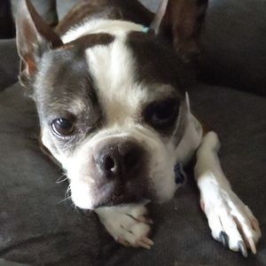 Meet your Posher, Maryann